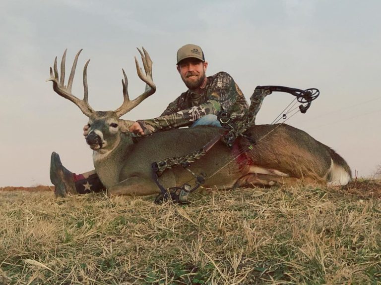 Starhill thesis 07 image